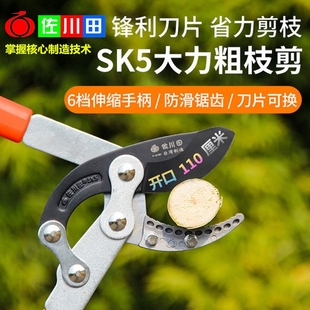 果树大剪子大剪刀园林强力u粗枝剪大力剪刀高枝剪伸缩高空树剪子