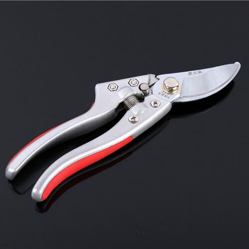 SK5精钢象牙色园艺剪刀园林果树花卉盆景修枝剪月季造型修剪包邮