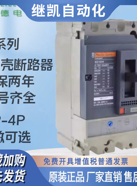 梅兰日兰NS100N塑k壳100H断路器160N/H空气开关250N/L空开NSE/250