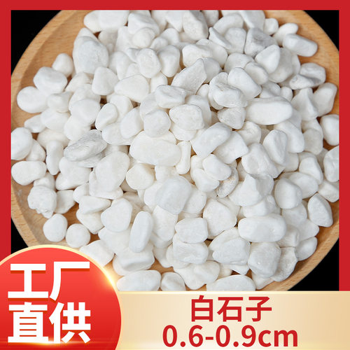 50斤白石子鹅卵石小白石头多肉铺面庭院造景雨花石鹅软暖石装饰