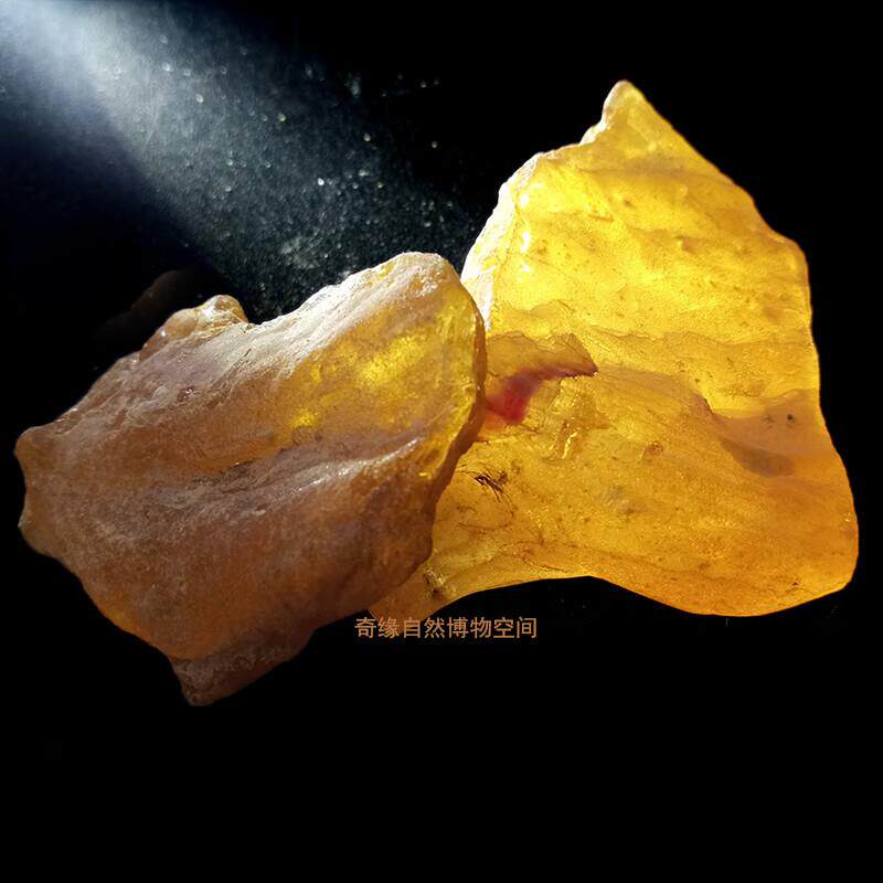 现货天然柯巴树脂未成熟琥珀矿石原石H化石动物植物古生物标礼品