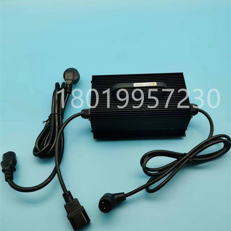 杭叉杭州叉车小金刚HC2424锂电池外置充电器电瓶充电机24V10A