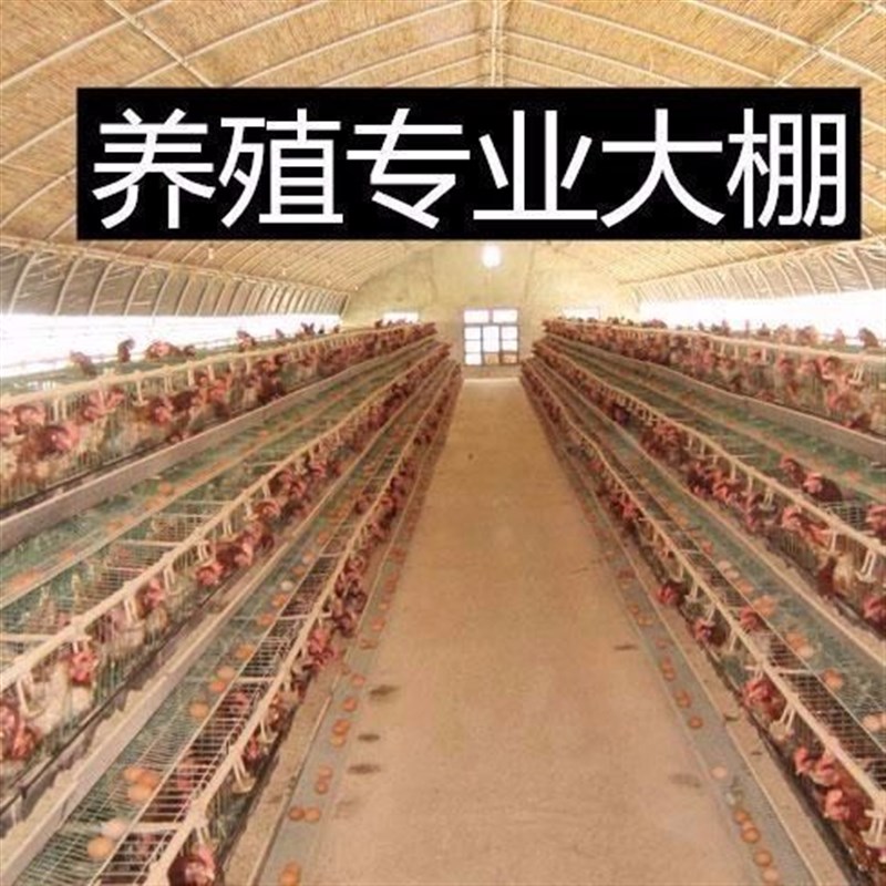 热销养殖大d棚全套鸡舍保温养鸡鸭猪鹅牛羊大棚骨架钢养殖场鸡棚