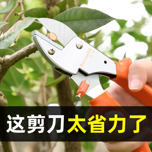 速发园艺剪刀剪树枝省用剪刀果树修枝剪花艺枝力剪花修剪树枝花剪