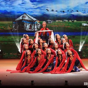 速发儿童藏族版蹈演出服桃李杯心声升级舞水袖上衣少台民族舞数藏