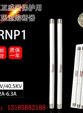 XRNP1-35-40.5KV/0.2A0.5A1A2A3A3.15A5A6.3A高压熔断器465*25mm