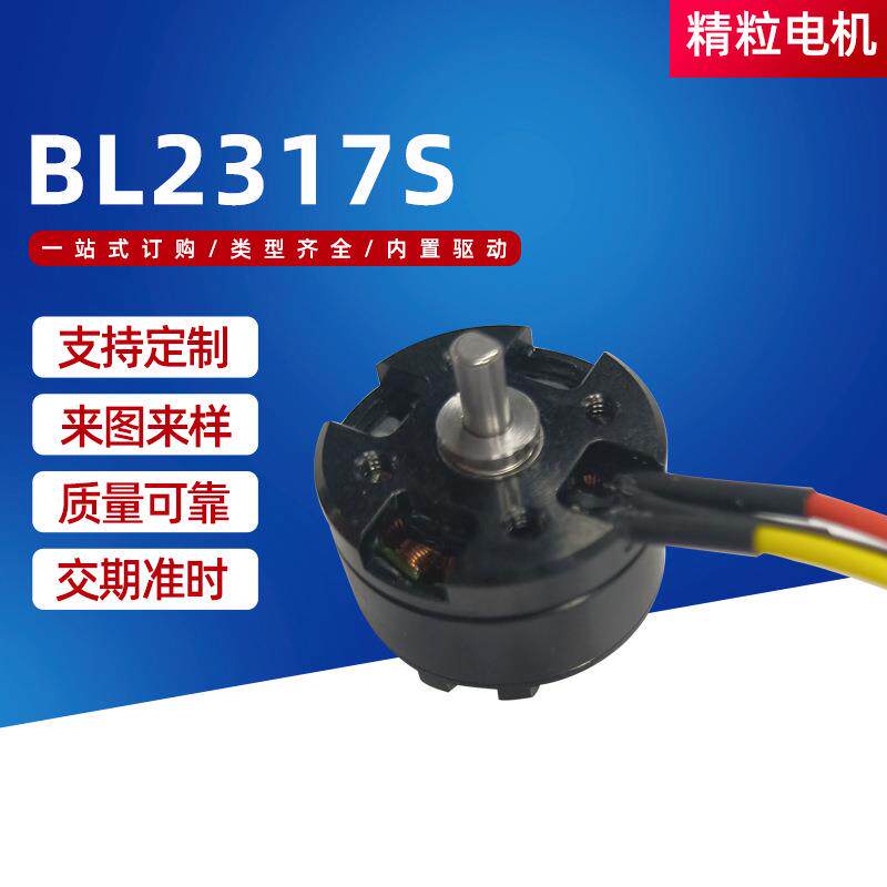 BL2317S380 车载吸尘器 电机抽水泵按摩器小型家电 直流电机马达