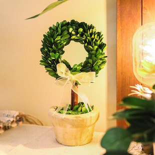创意盆栽花卉植物办公室内绿植客厅桌面盆景情人节礼物永生花干花