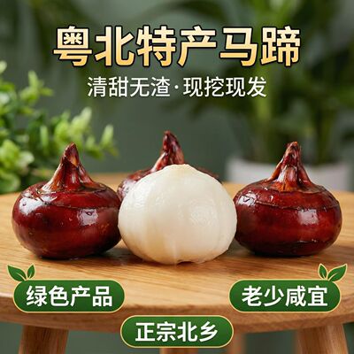 乐昌地标特产北乡马蹄中果荸荠新鲜蔬菜水果爽脆无渣带泥5斤/10斤
