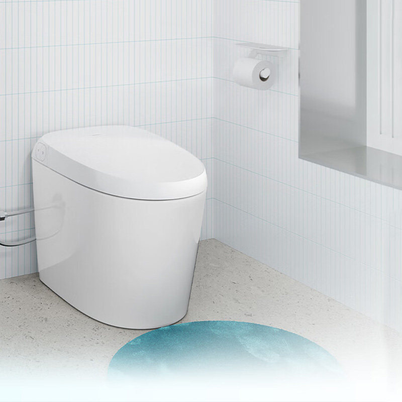 汉斯格雅Hansgrohe305轻智能落地式坐便器虹吸智能马桶