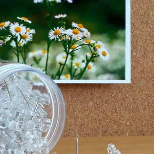 塑料透明梅花图钉照片墙软木板装 花朵图钉100个盒装 饰大头钉按钉