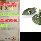 Ring Holder Perfect Park Cact Cactus oMf 极速Decor Set