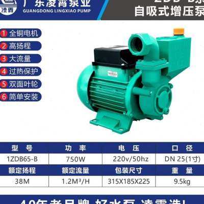 极速新品增压水泵家用自来水自吸抽B水机农用高扬程小型22Z0v全自