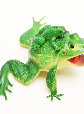 极速Simulation sounding frvog model mother and child frog fr