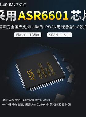 极速LoRaWAN无线射频透传模块ASR6505/6601 TXCO温补晶振43Y3/915