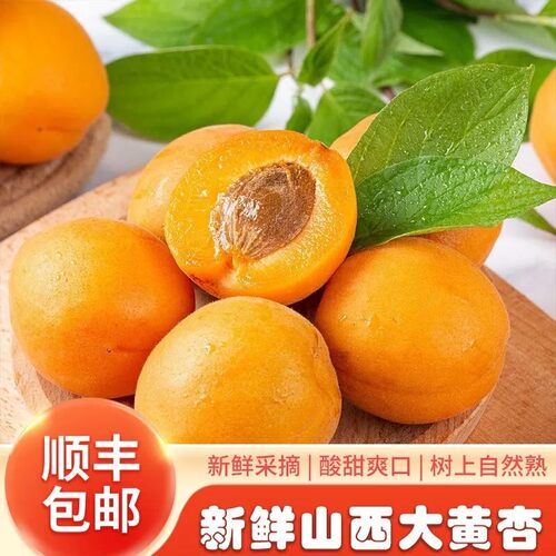 【顺丰包邮】头茬山西大黄杏酸甜脆爽金太阳当季新鲜黄杏孕妇水果
