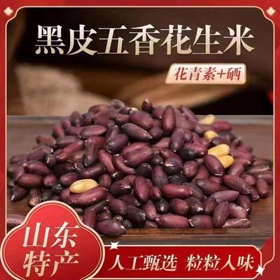 【爆！大羊毛 冲销量】山东黑皮富硒黑大颗粒香酥脆花生AC1