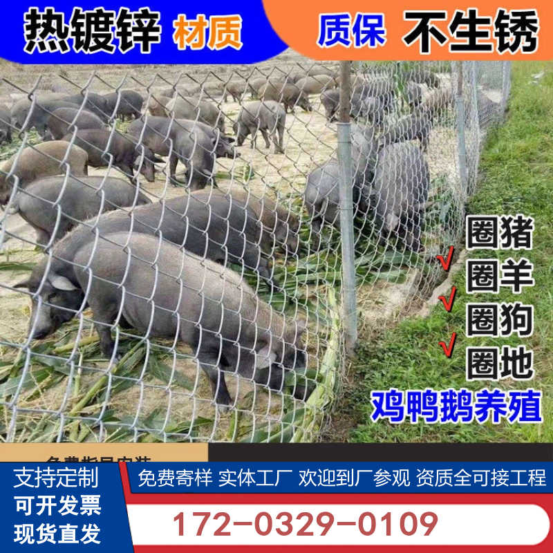 镀锌铁丝网钢丝围栏防护