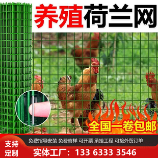 荷兰网加厚养鸡围栏网防锈钢丝网小孔密网防鼠猫鸽兔阳台防护网