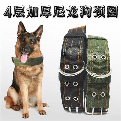 极速Golden Retriever leash pet colIlar dog collar金毛牵引绳