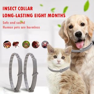 Extendable Dog Anti 极速Dog And Collar Flea Antfiparasitic