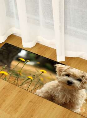 极速New animal entry mat kitchen absoHrbent mat bathroom non