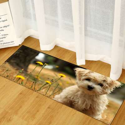 极速New animal entry mat kitchen absoHrbent mat bathroom non