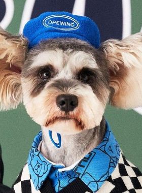 极速Fashion Dog Cap Eye-catwching Windproof Flannel Adjustab