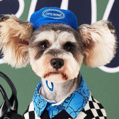 极速Fashion Dog Cap Eye-catwching Windproof Flannel Adjustab