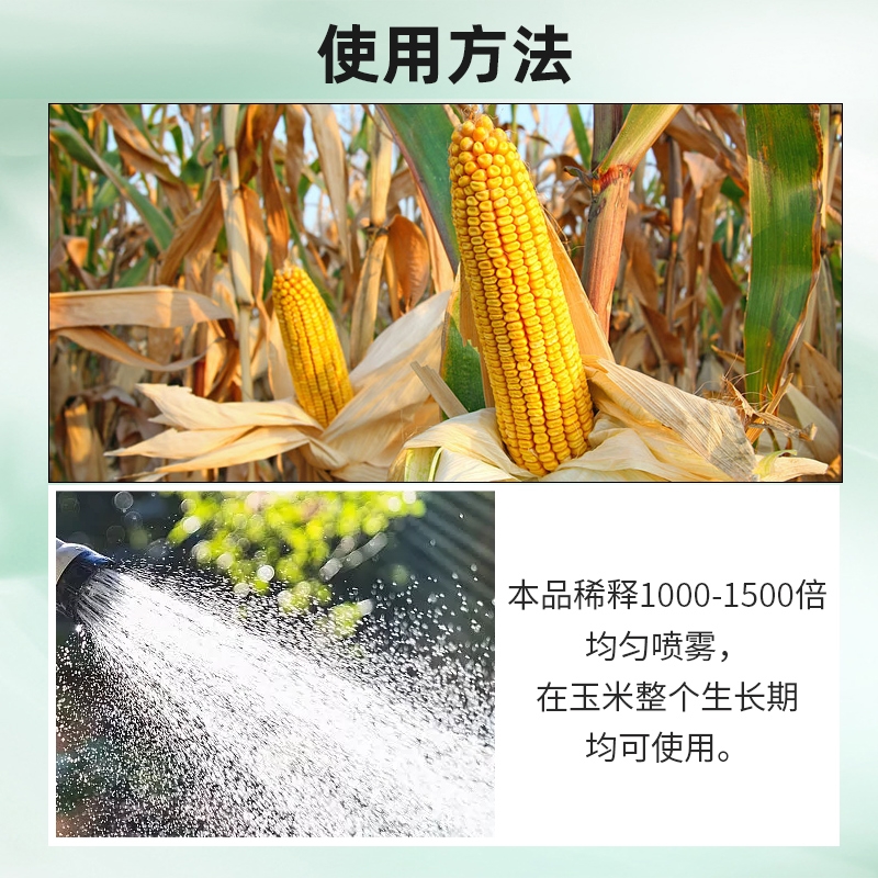 速发玉米金大棒促根壮苗促早熟强株耐旱涝抗倒伏有机水溶肥料农肥