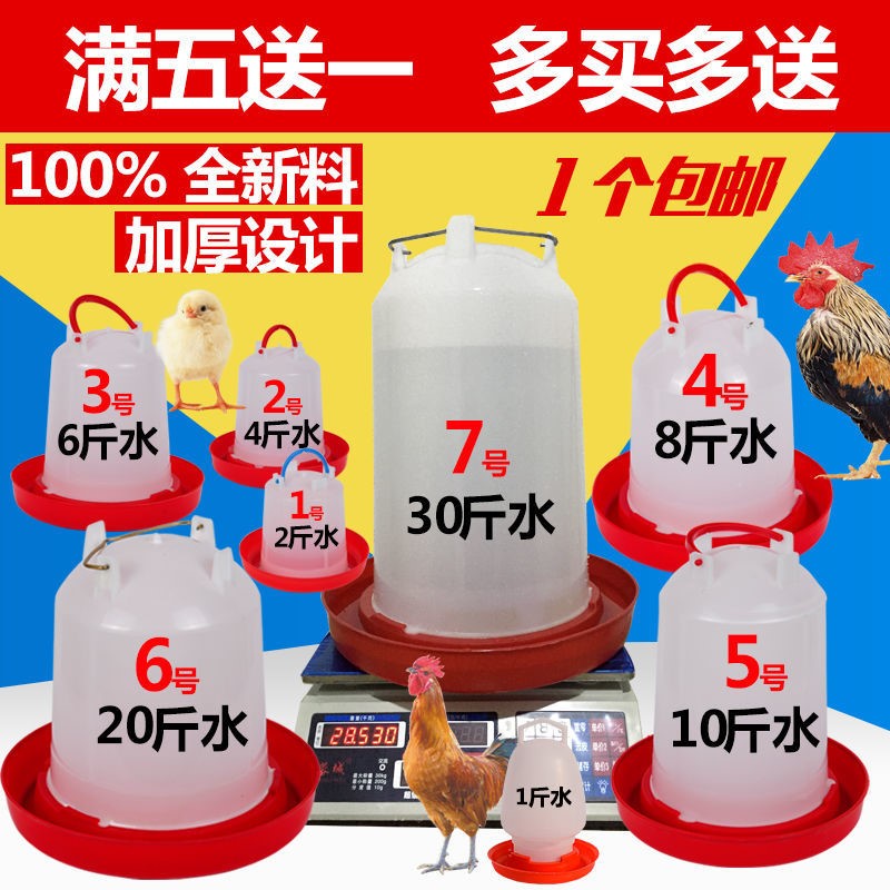 速发鸡水壶小水喝水自动饮水器水桶喂鸡水槽鸭备喂鸡器养鸡设鹅用