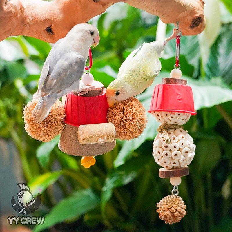速发鹦鹦队 鹦鹉串咬挂件笼具攀爬秋千草球藤球挂啃牡丹玄凤鸟玩,宠物/宠物食品及用品,鸟玩具,淘宝优惠券,粉丝福利购,淘宝优惠卷