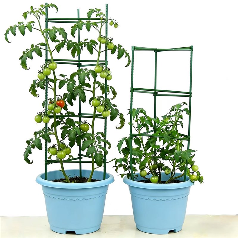 速发户外瓜果爬藤架西红柿架番茄架台种植黄瓜豆角爬藤架月季花支