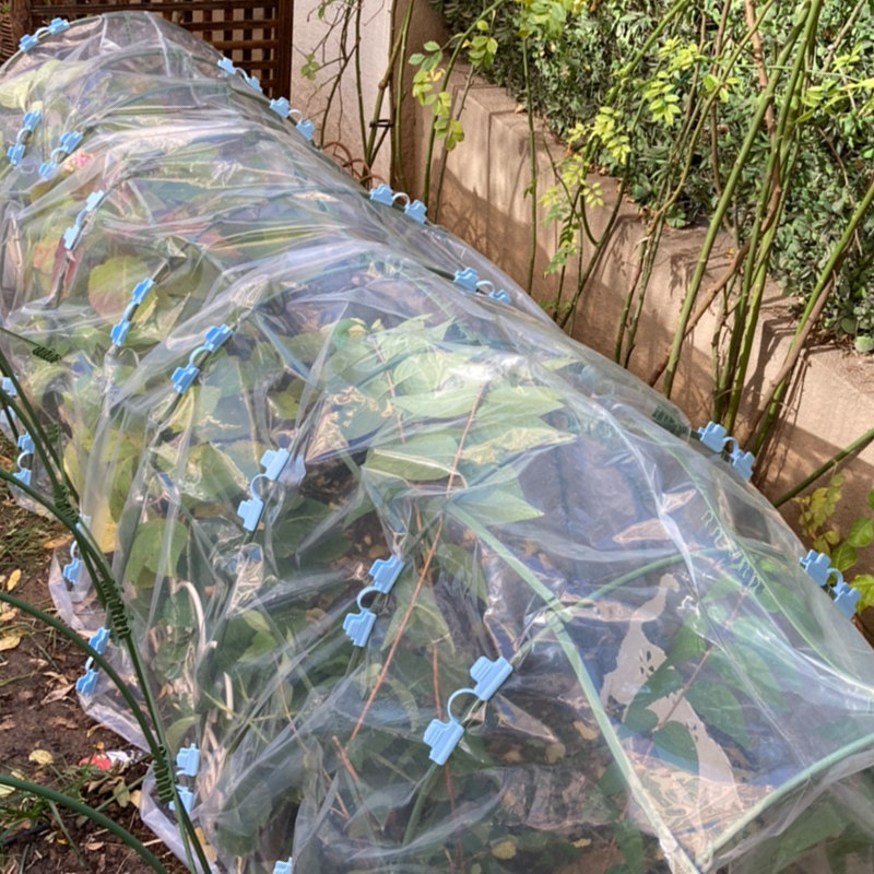 热销保温塑料膜j透明家庭菜园种菜大棚菜地蔬菜棚加厚防寒园艺农