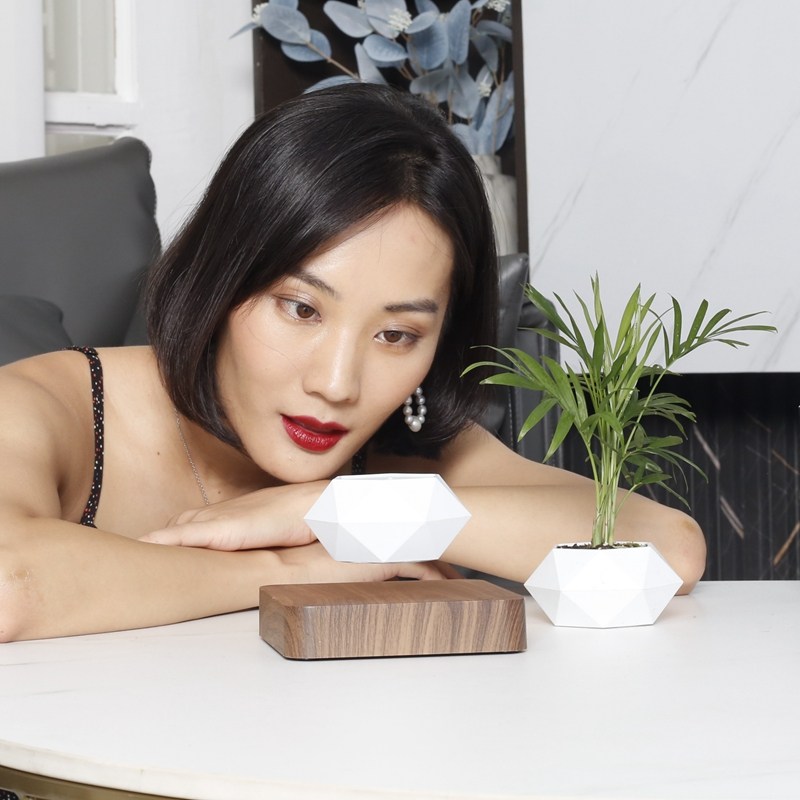 热销反重力磁悬浮盆栽创意u小植物花盆家居客厅办公室桌面摆件高