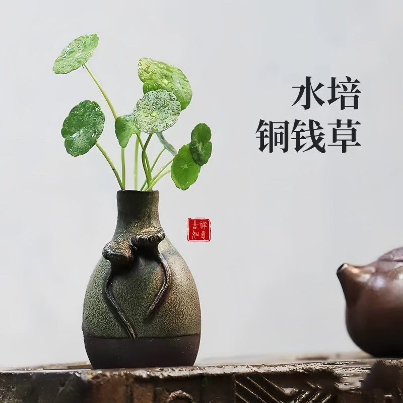 热销铜钱草水培植物盆栽室v内小绿植花卉水养金钱草四季好养活桌
