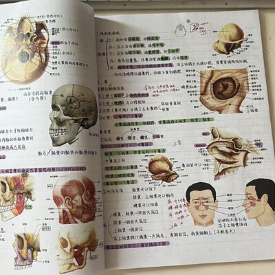【现货速发】升级版霍琨系统解剖学笔记本彩色打印胶装笔记本