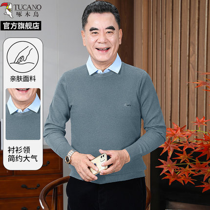 啄木鸟毛衣男款冬季圆领百搭纯色打底2025新款长袖加厚保暖上衣男