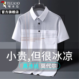 啄木鸟2025年夏季 新款 翻领条纹撞色冰丝舒适亲肤凉感短袖 Polo衫