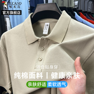 polo衫 短袖 男士 宽松父亲爸爸t恤夏装 100%纯棉 啄木鸟2025新款