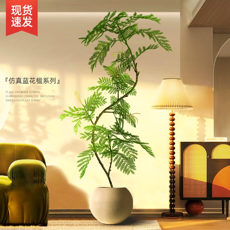 绿植装饰摆件落地大型客厅入户玄关电视柜旁边室内盆栽Z蓝花楹仿