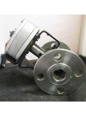 伍斯特 1FZ51 6 6TM150 R6 弹簧回流阀 CF8M