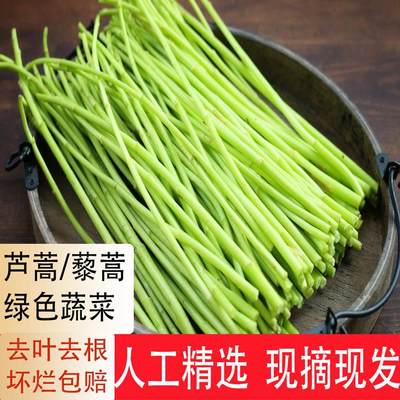 当季芦蒿新鲜篱蒿3斤去gen去叶黎蒿新鲜蔬菜野菜藜蒿鲜嫩泥蒿茼蒿