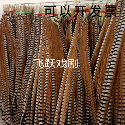 速发俏花旦京翎戏曲京出演戏毛超长翎毛雉鸡翎羽长剧子