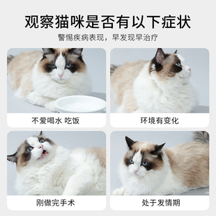 极速自检猫咪猫砂健康隐血检测血尿无尘幼猫成Q年猫上厕所猫砂盆