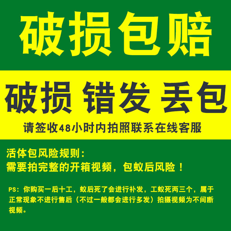 极速蚂蚁工d坊沙土版 大头蚁蚂蚁城堡豪华宫殿别墅 送蚁后可繁殖