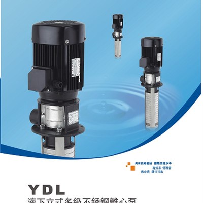 极速YDL4粤华牌液下多级不锈钢循环浸入式冷却液数V控机床高压水