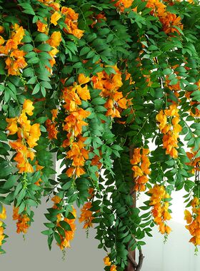 新品仿真灯笼吊h兰绿植塑料假花藤条装饰花藤室内摆设垂吊花墙壁