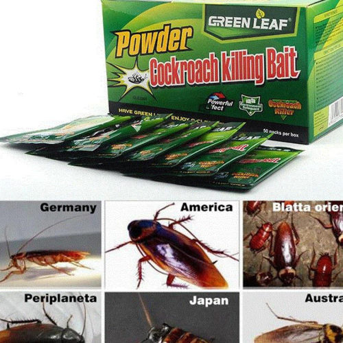 极速10pcs Cockroach Killer Green Leaves Qing QBaits kill Ger