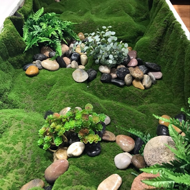 极速仿真青苔人造草坪草皮室内盆景造景I石长草假苔藓植物墙装饰